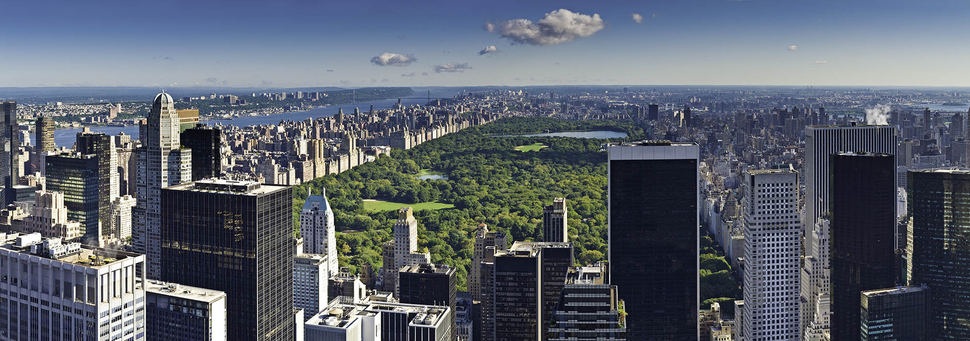 Central Park aerial view on a sunny day.