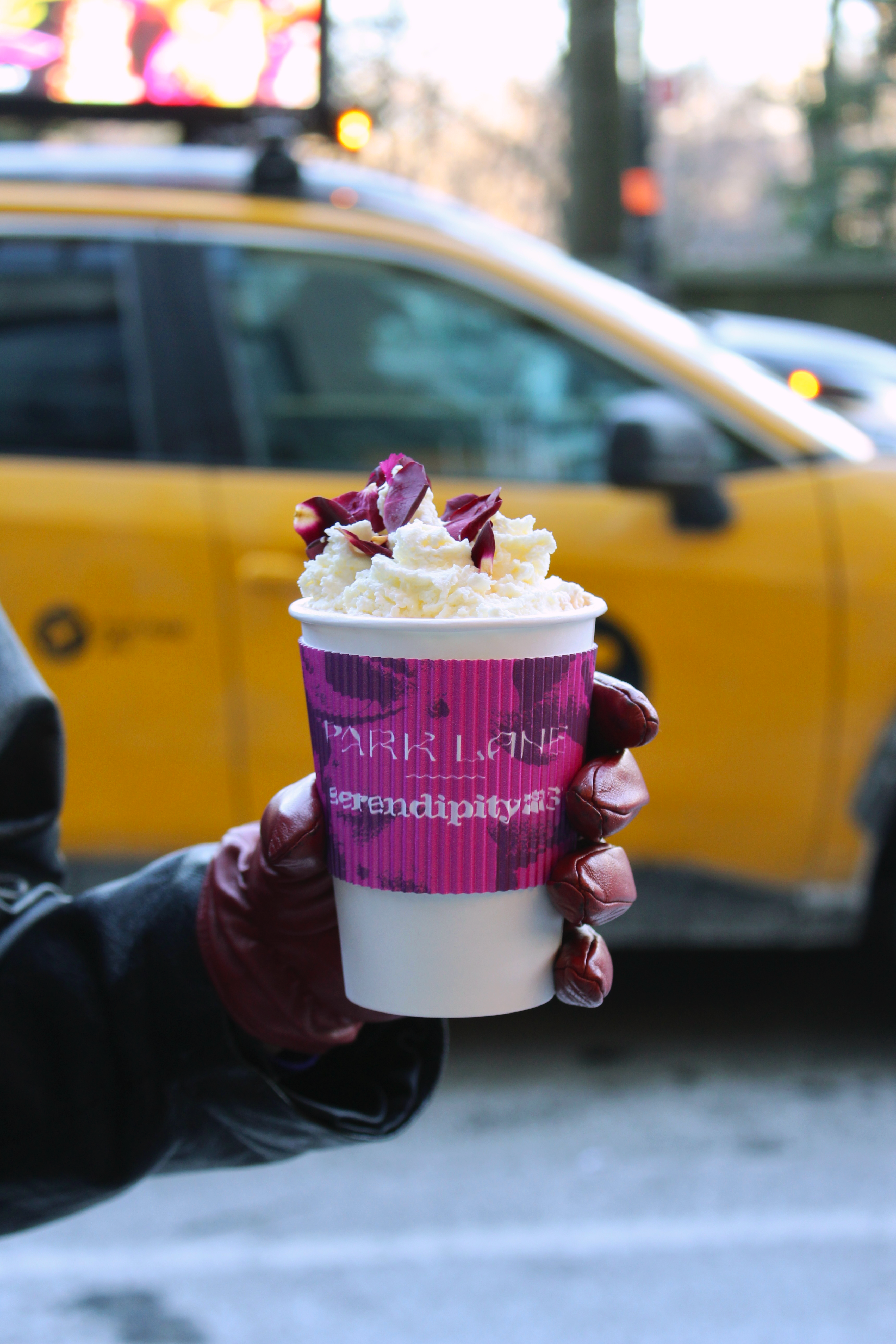 Serendipity 3 - Outdoor Hot Chocolate
