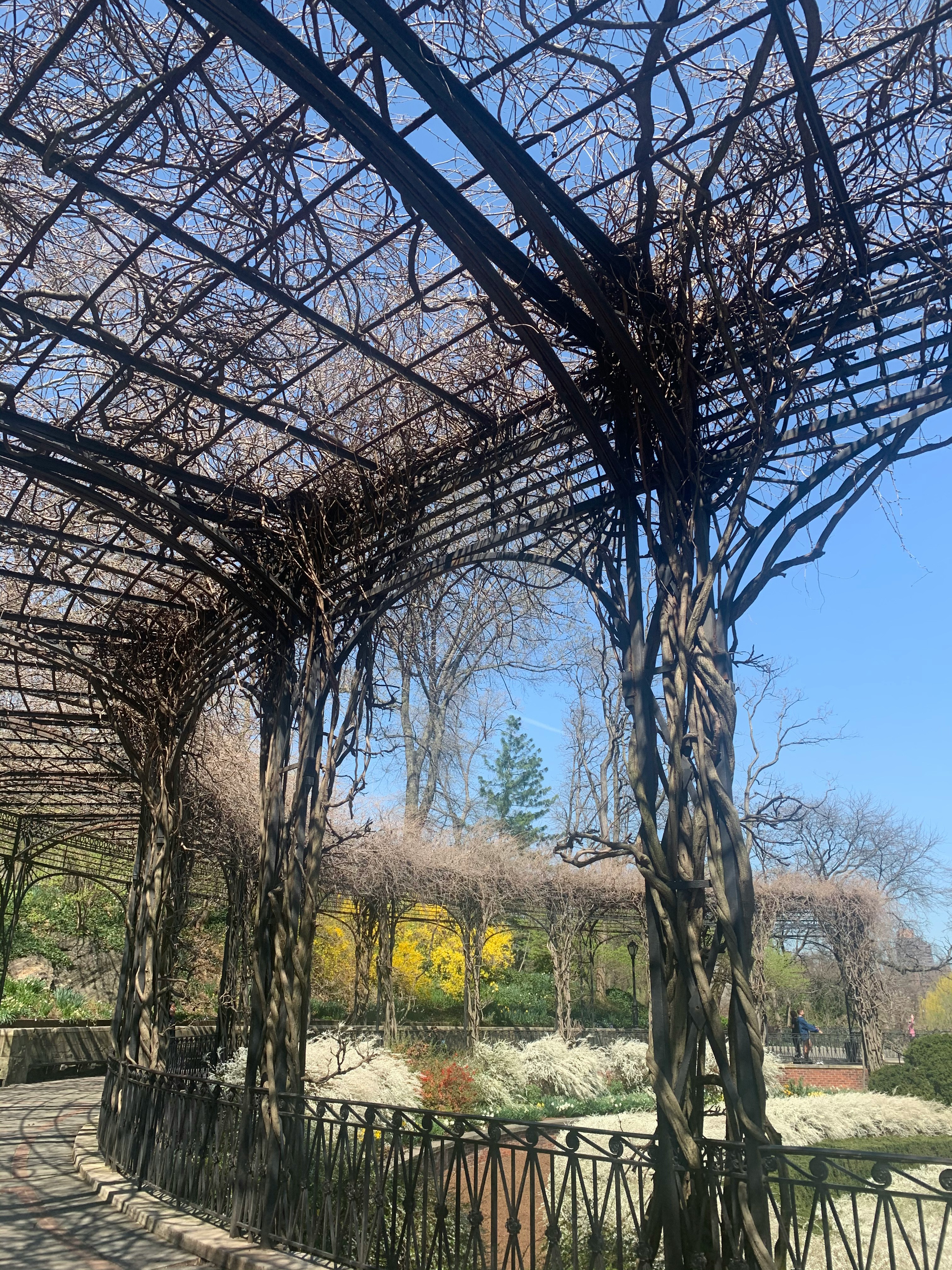 a trellis structure with trees and blue sky