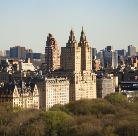 A wide view of a large building complex surrounded by trees and cityscape.